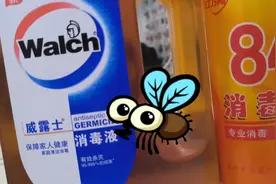 "实验揭秘威露士与84消毒液能否终结水生蚊子