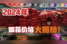 2024年烟花爆竹价格大揭秘！猜猜加特林多少钱一根？视频封面