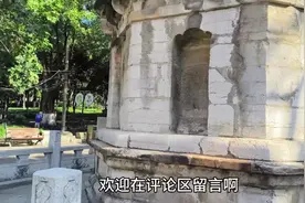 实拍武汉洪山公园，大爷大妈们在树林里干嘛呢？大家一起来看看吧视频封面