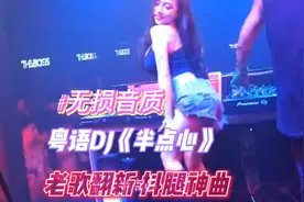 劲爆DJ，粤语老歌翻新，无损音质，80后的回忆《半点心》草蜢