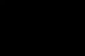 我的事情我作主