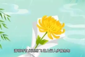 清明节这天为何雨纷纷呢？视频封面