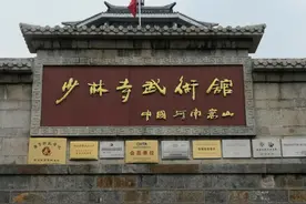 战友们河南少林寺优待证依法优先免费了视频封面