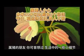 属猪人小心,未来10天切记避免3个忌讳,守住, 福运财运旺,贵人不断