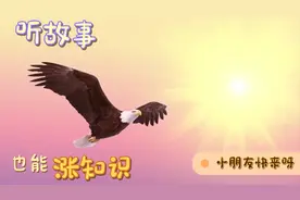 【睡前小故事】老鹰的“千里眼”