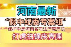 河南反腐：省司法厅原厅长被拍。曾用假中纪委干部组建假专案组视频封面