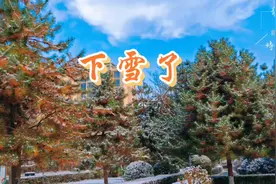 武威下雪了视频封面