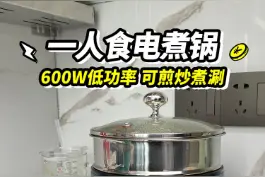 一个人做饭有这个小锅就方便多了！600W的低功率，哪里都能用~#厨房好物  #小南瓜电煮锅视频封面