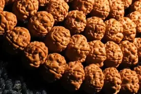 菩提手串的寓意是：觉悟、智慧、知识。广义讲是断绝世间烦恼视频封面