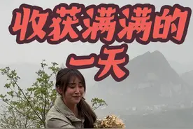 今天上山摘了好几种野菜，你们最爱吃哪一种呀？告诉我下次我多摘点😁#新农人计划2025 #摆摊 #山里的味道视频封面