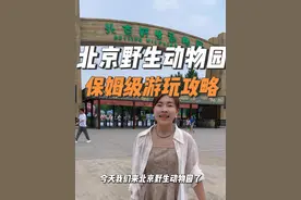 北京野生动物园超详细游玩攻略来咯！ 一条视频帮你避坑！真的很重要！！#北京 #北京野生动物园 #野生动物园游玩攻略视频封面