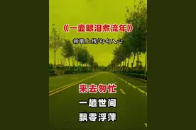 #一壶眼泪煮流年#就怕歌词入了心 #好歌推荐#太好听了视频封面