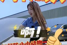 蛇居然在我的车里安家了！？ #有车的人要知道的知识 #安全提示 #每天一个用车知识视频封面