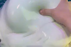 白鲸脑袋是非常软的，摸起来手感超级不错😊#白鲸吃鱼 #白鲸头有多软 #虎滩小鱼儿