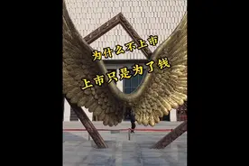 于东来：企业是为了造福社会，上市是为了钱，所以胖东来不上市视频封面