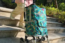 买菜车小拉车大容量家用拖车轻便爬楼拉杆车折叠手拉车老人购物车视频封面