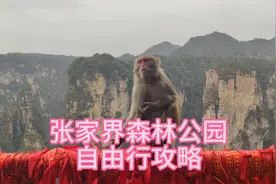 自游张家界，省钱有攻略。吃住北门外，上山就是快。索道省几百块