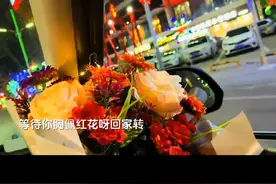 《九九艳阳天》MV，经典爱情传唱，重温美好时光！