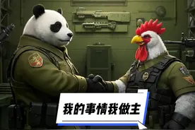 我的事情我做主视频封面