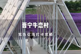 昆明紫色花海打卡攻略 谁还不知道怎么来？怎么拍