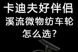 溪流微物纺车轮怎么选？ 卡迪夫，蝴蝶，念溪鳟鱼竿微物竿好伴侣