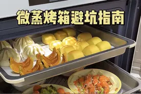 爆火的微蒸烤一体机，到底是厨房神器还是智商税#微蒸烤箱选购#小户型神器 #凯度DRpro微蒸烤一体机