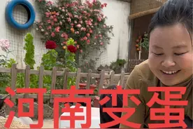 河南特产#糖心变蛋 你们都吃过没，在俺这边农忙前家家户户都会变些来吃，做法简单一看就会#抖音美食推荐官 #农村美食 #记录真实生活 #好东西一起分享视频封面