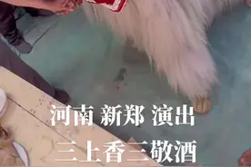 三上香三敬酒#第33届青岛国际啤酒节 #巨量算数 #旅行推荐官 #潮趣非遗抖起来视频封面