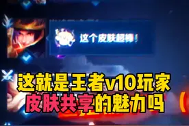 这就是王者v10玩家皮肤共享的魅力吗？ #王者荣耀视频封面