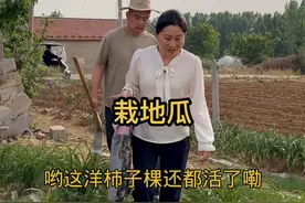 姐妹们这是前几天栽地瓜的视频#平淡治愈的乡村生活 #夫妻相处之道 #夫妻日常 @抖音三农视频封面