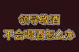 领导敬酒不会喝酒怎么办#酒桌文化 #如何高情商应对领导