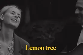 这首"Lemon Tree"是写一位大男孩在某个下着太阳雨的星期天下午等着他的女朋友，将等人时的焦虑不安及胡思乱想的心情表现得淋漓尽致。#欧美音乐 #好听的英文歌推荐 #music #音乐分享 #好歌推荐视频封面