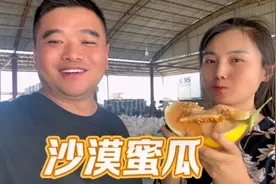 小夫妻驱车900公里，到甘肃河西走廊品尝沙漠蜜瓜，体验大漠风情视频封面
