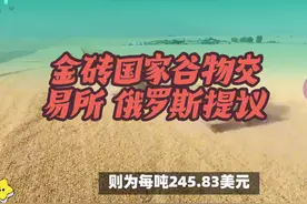 撇开西方国家，俄罗斯提议建立金砖国家谷物交易所视频封面