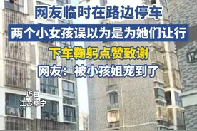 网友临时在路边停车，两小女孩误以为是给她们让路，礼貌致谢太治愈了，网友：被小孩姐宠到了！视频封面