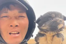 可可西里无人区又捡到一只流浪狗，真成汪汪队大队长了#户外 #流浪狗 #流浪狗救助#可可西里#真是户外视频封面