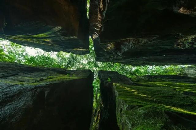 趣清凉·享太平 |速抢！黄山7大景区免门票！限时还有7天，手慢无！|皖美夏日