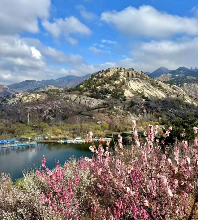 临沂“3.8”女神节必看｜免票+特惠+活动一键解锁