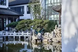 什么？种树的最佳时间并非春季！而是树木的秋冬休眠期图片