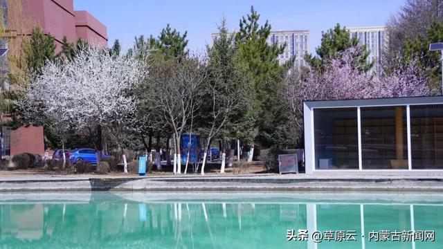 呼和浩特赏花攻略：最佳地点+公交出行指南