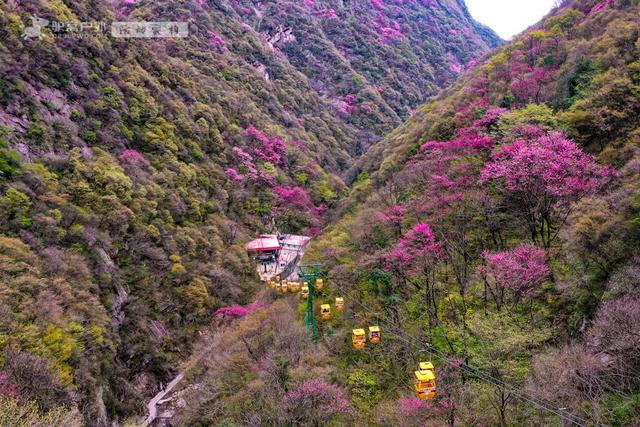 西安周边春季必爬8座山,最近1h直达,山间春色满,清明假期冲!