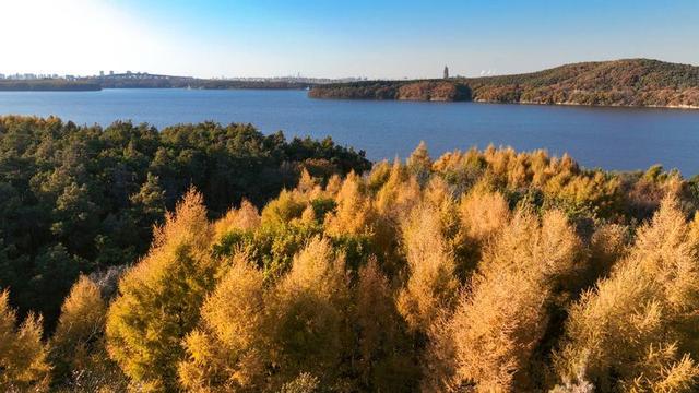 长春的秋天，有一幅油画叫做“净月潭”