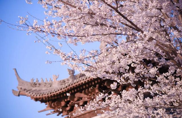 许昌⇄保定，双向奔赴