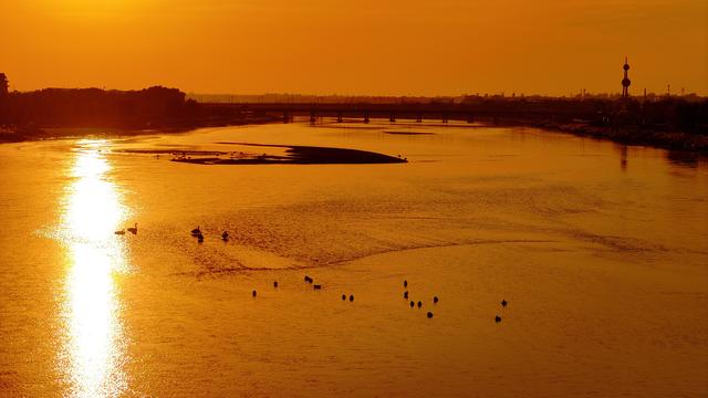 #运城头条#山西绛州：千年“水旱码头”天鹅“舞”古州