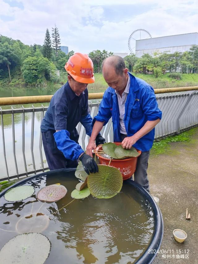 柳东奇遇记② | 探寻绿野仙踪，打卡宝藏生态画卷