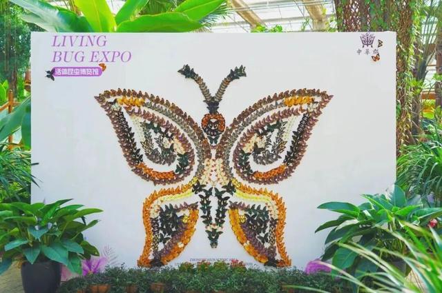免票、优惠！请全国老师来渭南过节