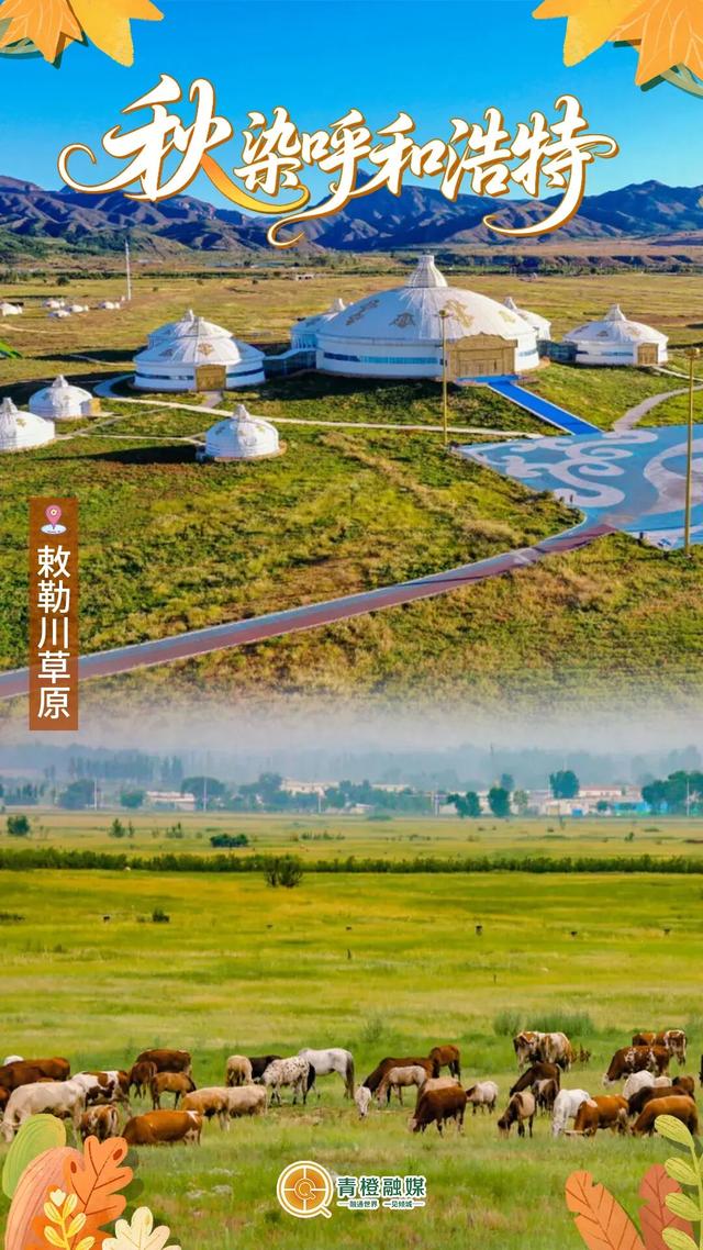 再过几天，呼和浩特就要变成这样了→