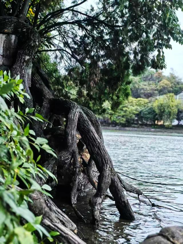 桂林：最是初冬晴午后！