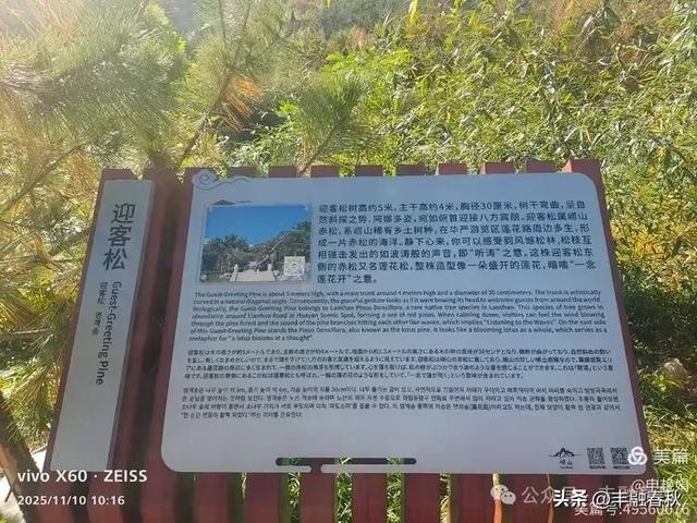 青岛崂山华严寺:山海间的禅意清响|申艳娟
