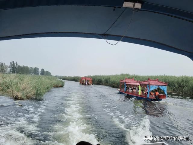 白洋淀之行